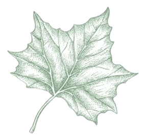 Hopewell Family Dental Logo